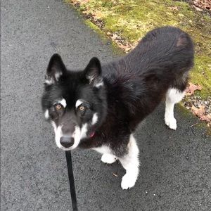 Meet your Posher, Tiffany